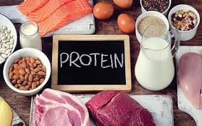 Protein